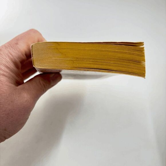 Kajira of Gor 19 John Norman vintage PB BDSM Cover Art 1st Printing - Picture 5 of 8